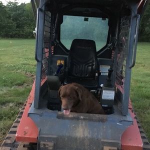 Meet your Posher, Jeffery